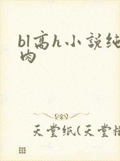 bl高h小说纯肉