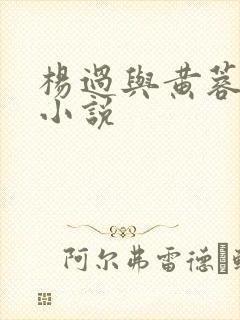 杨过与黄蓉母女小说