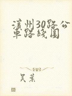 滨州30路公交车路线图