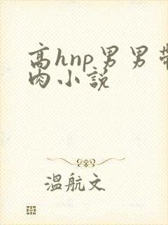 高hnp男男带肉小说