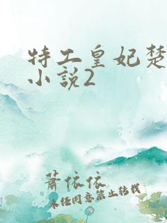 特工皇妃楚乔传小说2
