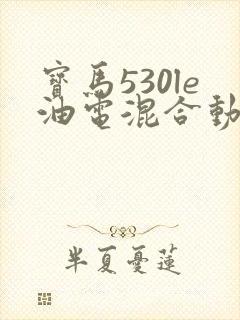 宝马530le油电混合动力