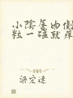 小阴唇内侧长肉粒一碰就痒