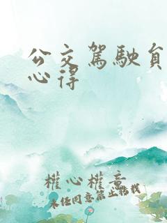 公交驾驶员个人心得