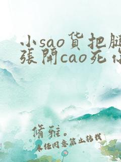 小sao货把腿张开cao死你男男双性人父子
