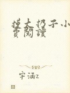 摸大扔子小说免费阅读