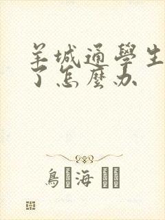 羊城通学生卡丢了怎么办