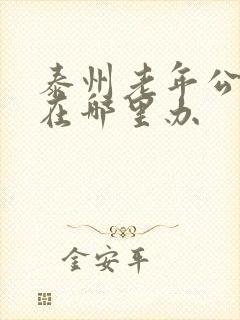 泰州老年公交卡在哪里办
