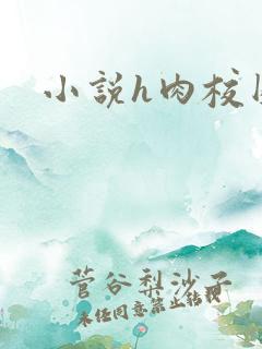 小说h肉校园
