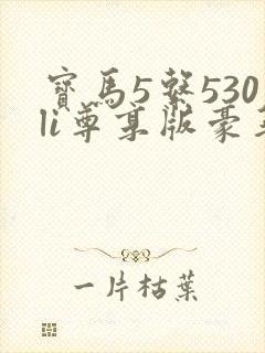 宝马5系530li尊享版豪华型