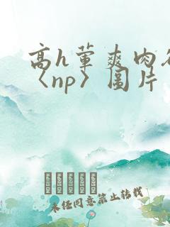 高h荤爽肉欲文〈np〉图片