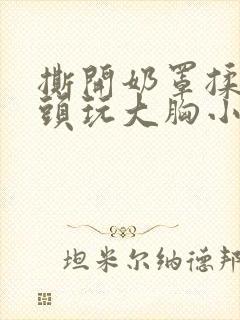 撕开奶罩揉吮奶头玩大胸小说
