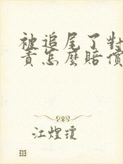 被追尾了对方全责怎么赔偿交通费