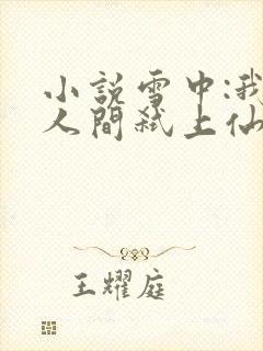 小说雪中:我为人间弑上仙在线阅读