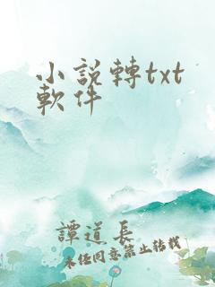 小说转txt 软件
