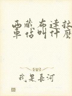 西藏布达拉宫火车站叫什么