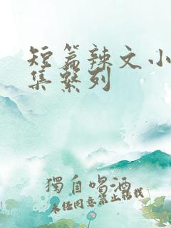 短篇辣文小说合集系列