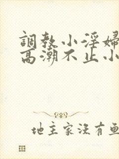 调教小淫妇失禁高潮不止小说