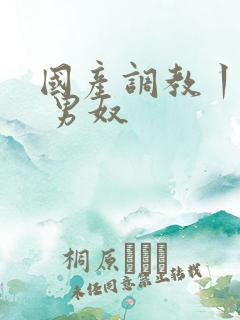 国产调教丨vk 男奴