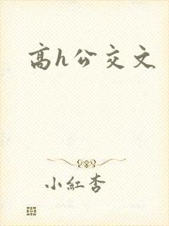 高h公交文
