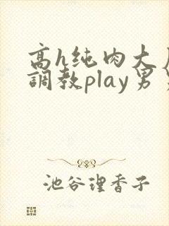 高h纯肉大尺度调教play男男