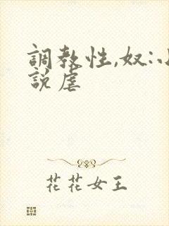调教性,奴:小说虐