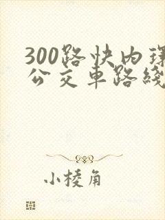 300路快内环公交车路线图