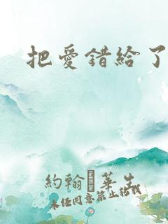 把爱错给了你