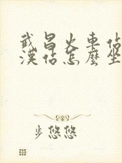 武昌火车站到武汉站怎么坐地铁