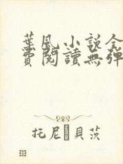 叶风小说全文免费阅读无弹窗