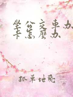 坐公交车办老年卡怎么办