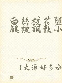 白丝校花堕落玉腿被调教小说