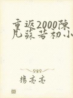 重返2000陈凡苏若初小说