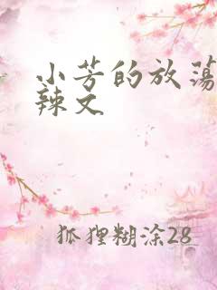 小芳的放荡h肉辣文