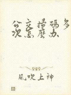 公交扫码多扫一次怎么办