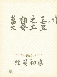 万相之王,作者天蚕土豆