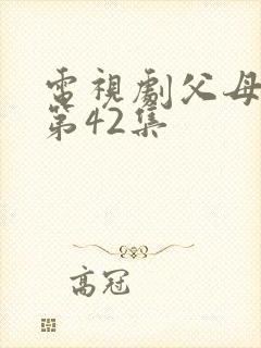 电视剧父母爱情第42集
