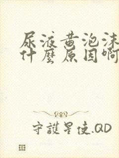 尿液黄泡沫多是什么原因啊
