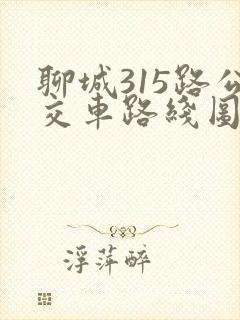 聊城315路公交车路线图