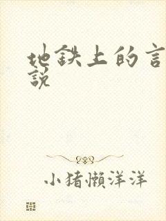 地铁上的言情小说