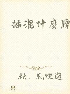 插混什么牌照