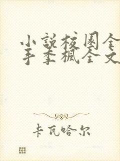 小说校园全能高手季枫全文阅