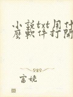 小说txt用什么软件打开比较好