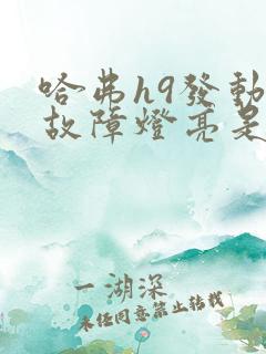 哈弗h9发动机故障灯亮是什么原因