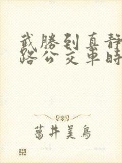 武胜到真静12路公交车时间表