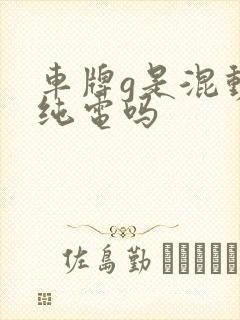 车牌g是混动和纯电吗