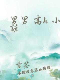 男男 高h 小说 男男 高h 小说