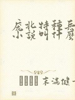 庞北特种兵穿越小说叫什么名字