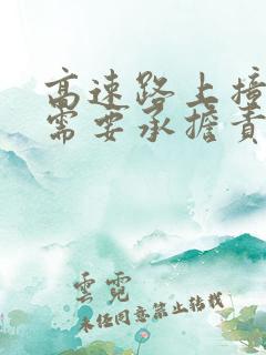 高速路上撞死人需要承担责任吗