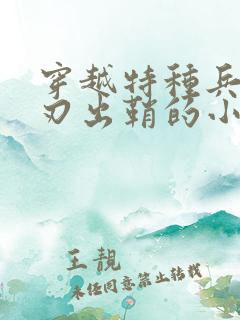 穿越特种兵之利刃出鞘的小说